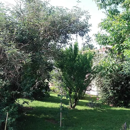 Le Pigeonnier - Tg2260 * Nègrepelisse