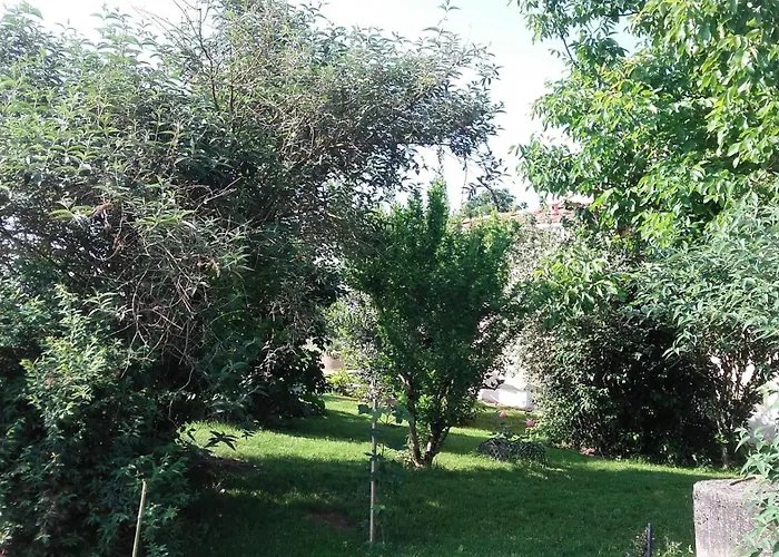 Le Pigeonnier - Tg2260 * Nègrepelisse